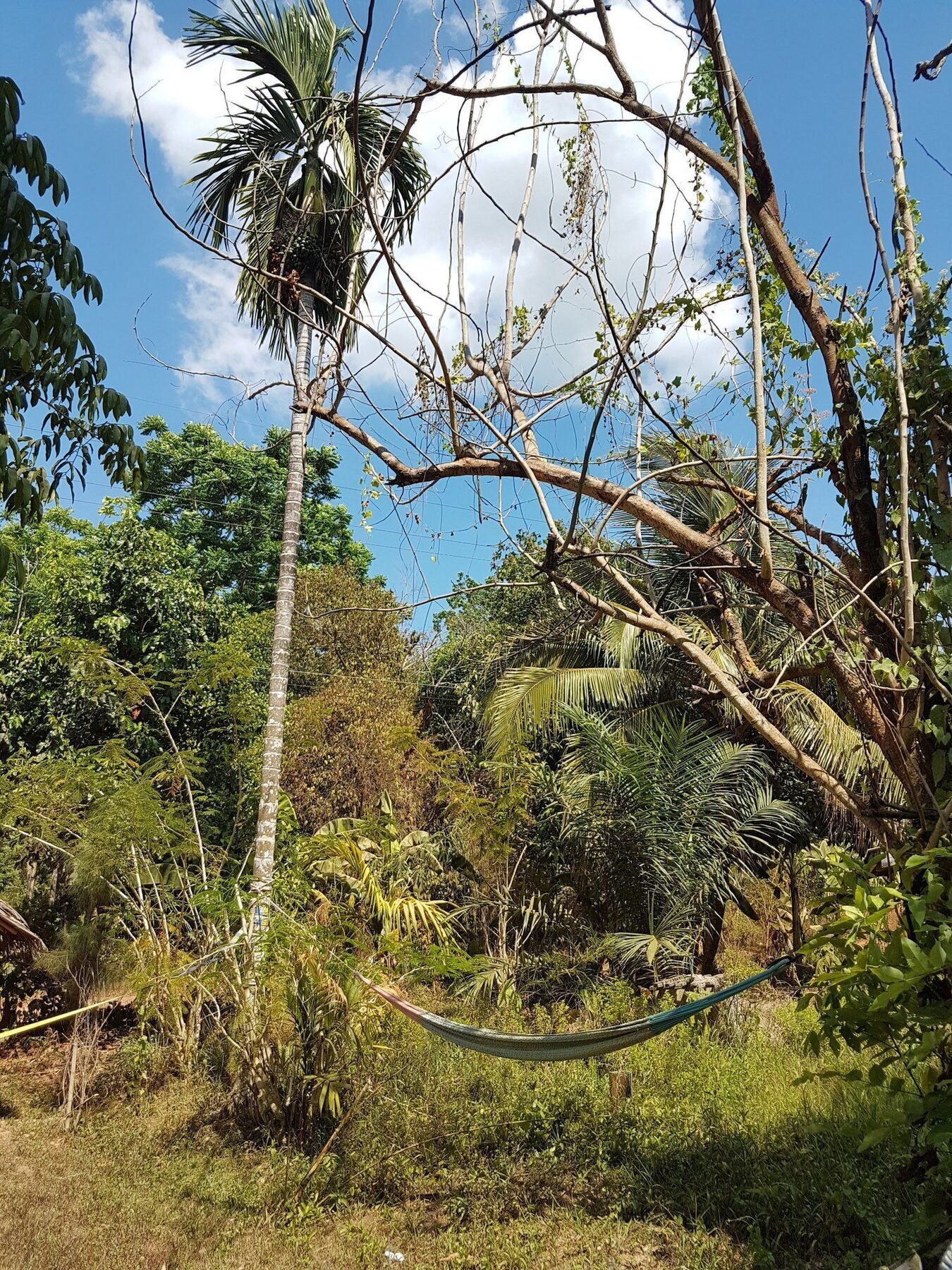 Slacklines Hostel Ko Lanta Εξωτερικό φωτογραφία